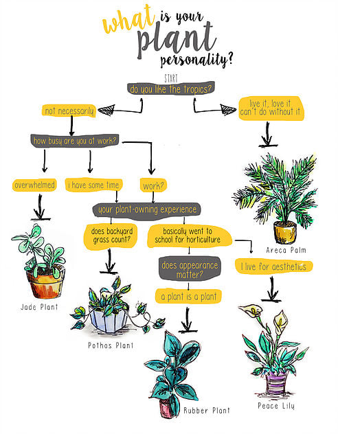 what is your plant personality