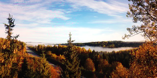 autumn