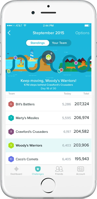Fitbit Wellness Data