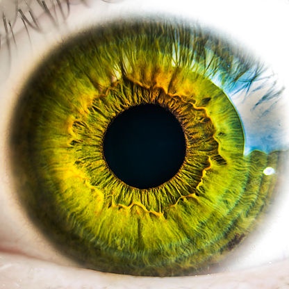 
The 5 Most Common Conditions that Threaten Your Sight